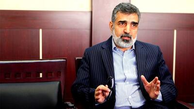 سخنگوی سازمان انرژی اتمی: صنعت هسته‌ای در کشور ما ریشه دارد