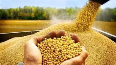 وزیر کشاورزی: ارز ترجیحی برای تامین نهاده‌های دامی تا پایان سال حذف نمی‌شود | شفقنا