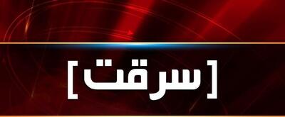 سرقت وحشیانه از یک زن جوان در محله سعادت آباد تهران/ببینید
