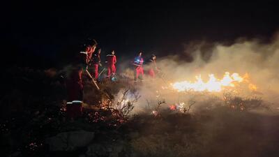 آتش‌سوزی کوه دراک شیراز مهار شد