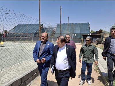بازدید معاون وزیر ورزش و جوانان از پروژه‌های دهکده المپیک و مجموعه هادیان کرمانشاه