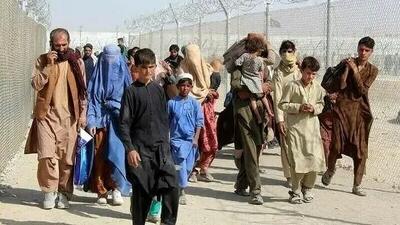 تاثیر شوک خروج کارگران افغان بر بازار مسکن در ایران!