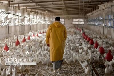 از کم شدن حقوق تا تعدیل/ قطعی برق چه تاثیری در زندگی کارگران دارد؟