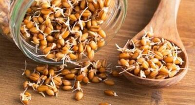 اکسیر جوانی کشف شد | جهان نیوز