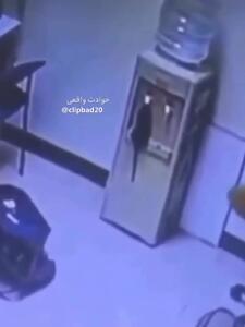فیلم / موش کوچک در حال آب خوردن از آبسردکن