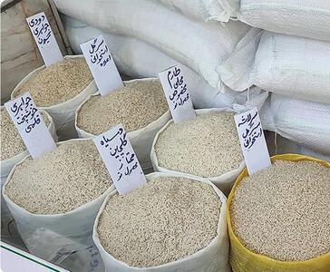 قیمت برنج ایرانی از مرز ۳۰۰ هزار تومان گذشت / تولیدکنندگان و صادرکنندگان برنج خواستار حذف ارز ترجیحی هستند