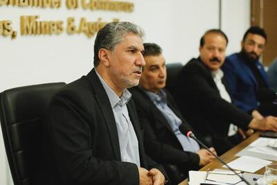 بخش خصوصی ناجی ارزش پول ملی می تواند باشد؛ ضرورت توجه به ظرفیت های معدنی کشور
