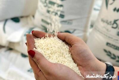 قیمت برنج ایرانی به آسمان رسید: صداهای تولیدکنندگان برای تغییر سیاست‌های ارزی