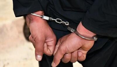 کلاهبردار هزار میلیاردی دستگیر شد