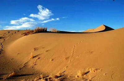 نبرد گلستان با گرد وغبار