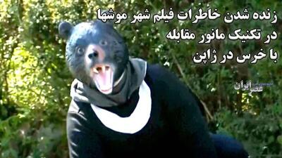 زنده شدن خاطرات فیلم شهر موش‌ها هنگام مانور مقابله با خرس در ژاپن (فیلم)