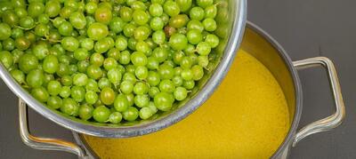 راز درمان کبد چرب با آبغوره خانگی / طرز تهیه آبغوره بدون نمک و ساده در خانه