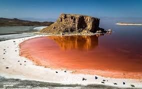 این فاجعه قابل پیش‌بینی بود
