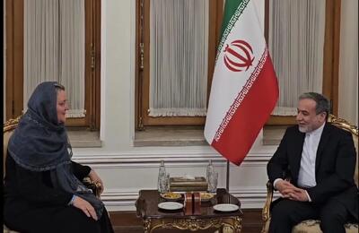 نماینده یونیسف در ایران با «عراقچی» دیدار کرد