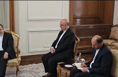 سفیر جدید اسلواکی رونوشت استوارنامه خود را تسلیم «عراقچی» کرد