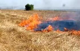 مهار آتش‌سوزی در میانکاله و پارک ملی کیاسر