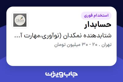 استخدام حسابدار - آقا در شتابدهنده نمکدان (نوآوری،مهارت آموزی،کسب و کار دانش بنیان)