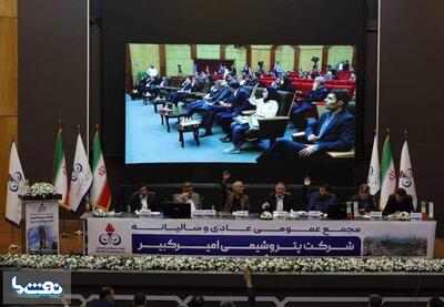 افزایش ۸۸ درصدی سود هر سهم شکبیر | نفت ما