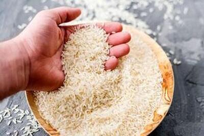 وزیر جهاد: قیمت برنج ایرانی در حال کاهش است | شفقنا