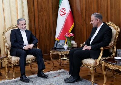 دیدار رئیس جدید نمایندگی جمهوری اسلامی ایران در اردن با عراقچی - تسنیم