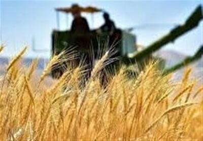 8 درصد طلب کشاورزان گندم‌کار اردبیل پرداخت شد‌ - تسنیم