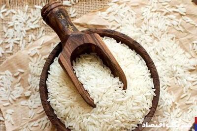 قیمت برنج ایرانی تا دو هفته آینده نهایت به ۲۷۰ تا ۲۸۰ تومان میرسد