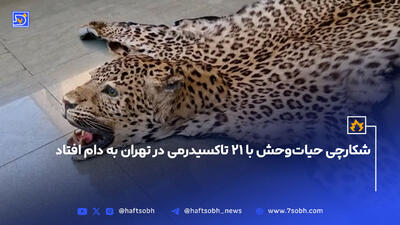 شکارچی حیات‌وحش با ۲۱ تاکسیدرمی در تهران به دام افتاد