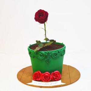 بدون خامه کشی یک کیک گلدونی درست .کن