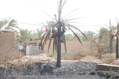 در «شنوف» خانه‌ها بی‌صدا سوختند