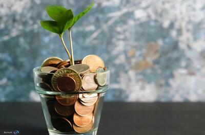 آغاز انتشار اوراق توسعه فناوری/ بیمه دارایی‌های نامشهود اقدامی زیرساختی برای اعتمادسازی