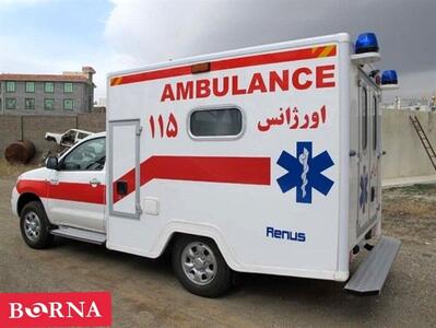 ۳۰ پایگاه و مرکز درمانی هلال احمر در مرز مهران مستقر می شوند