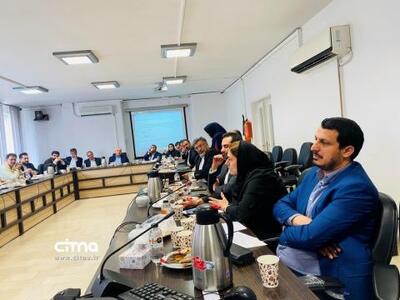 آغاز فرآیند تدوین «سند راهبردی نقطه صفر غیربومی فاوا»