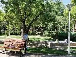 پارک بانوان همدان با 30 میلیارد ریال بازسازی شد