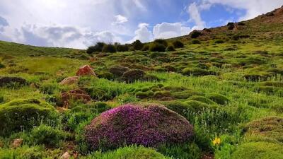 درخشش آفتاب تابستانی در سراسر گیلان