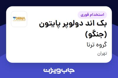 استخدام بک اند دولوپر پایتون (جنگو) در گروه ترنا