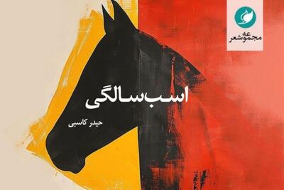 در لبه‌ خیال و زندگی |مجموعه شعر «اسب سالگی» تازه‌ترین اثر حیدر کاسبی منتشر می‌شود