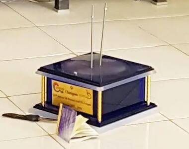 دزد  ناشی به  کاهدان نزد