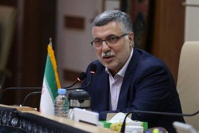 ظفرقندی: هم‌اکنون درگیر هیچ بیماری همه‌گیر فصلی نیستیم