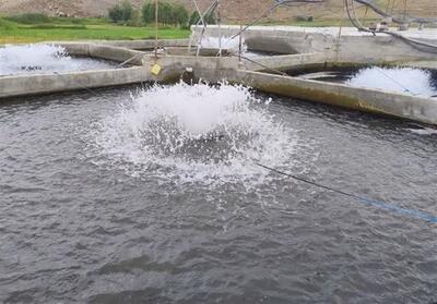 ضرورت بیمه مزارع پرورش ماهی در اردبیل - تسنیم