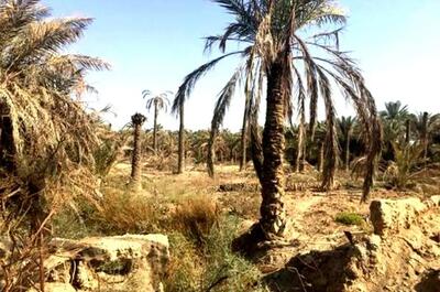 تجارت آب؛ تکرار متناوب بحران در خوزستان