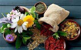 طب سنتی چینی و تقویت سیستم ایمنی بدن / توصیه‌های طلایی برای سلامت طولانی‌مدت / راهکارهای ساده و عملی