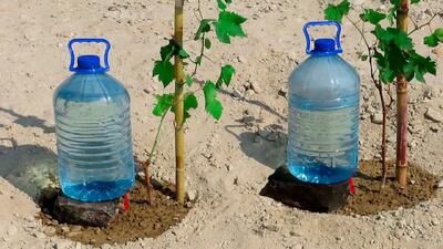 آموزش ساخت ساده سیستم آبیاری قطره ای با بطری پلاستیکی