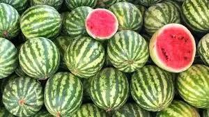 رونق کاشت برنج، موز و انبه و هندوانه در سیستان و بلوچستان؛ اینگونه آب به آسیاب خشکسالی ریخته می‌شود!