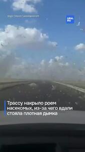 ببینید؛ باران ملخ در داغستان