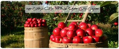 زمان مصرف کود npk برای درختان میوه [کاملترین نکات]