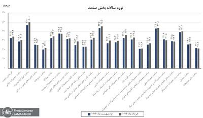 صنعت زیر بار گرانی / افزایش ۲.۴ درصدی قیمت تولیدات صنعتی در خرداد / غذا رکورددار گرانی ماهانه / نوشیدنی‌ ها با ۷۴درصد، صدرنشین گرانی سالانه