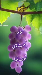 فال و طالع بینی روزانه 6 مرداد