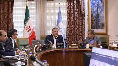 نشست کمیته نظارتی اوپک‌پلاس با حضور وزیر نفت برگزار شد
