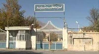 درخواست فوری نمایندگان برای احیای کارخانه قند شازند و هشدار درباره تغییر کاربری