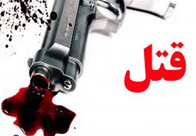 مدیرعامل شرکتی در مشهد قربانی کینه کارمند اخراجی شد - تسنیم